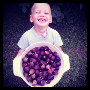 Shmuel with figs in basket