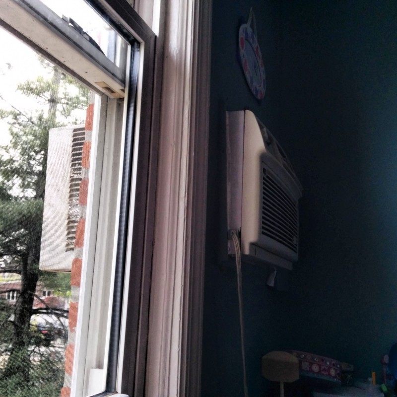 The bird’s nest in Shoshi’s Air Conditioner sleeve Chabad on Campus